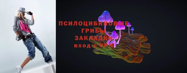 первитин Горнозаводск