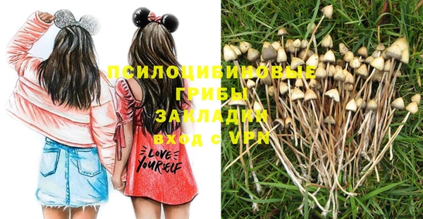 гашик Вязники