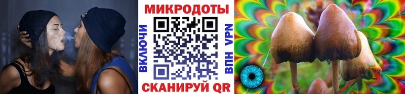 наркошоп  Зарайск  Псилоцибиновые грибы ЛСД 