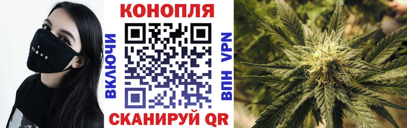 Каннабис планчик  Зарайск 